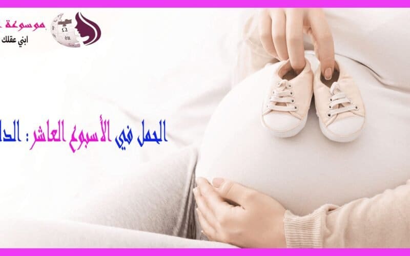 الأسبوع العاشر من الحمل تطور واضح للجنين وبداية الاستقرار التدريجي
