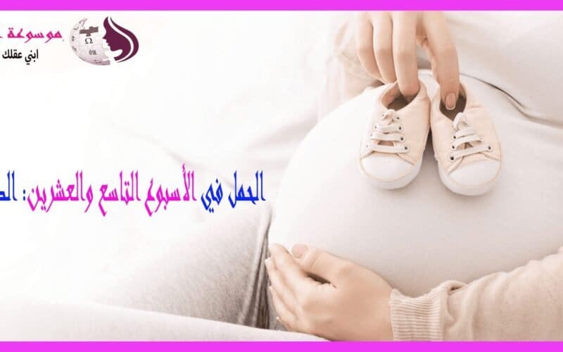 الأسبوع التاسع والعشرون من الحمل نمو الجنين .. تغيرات الأم .. ونصائح مهمة في الثلث الأخير