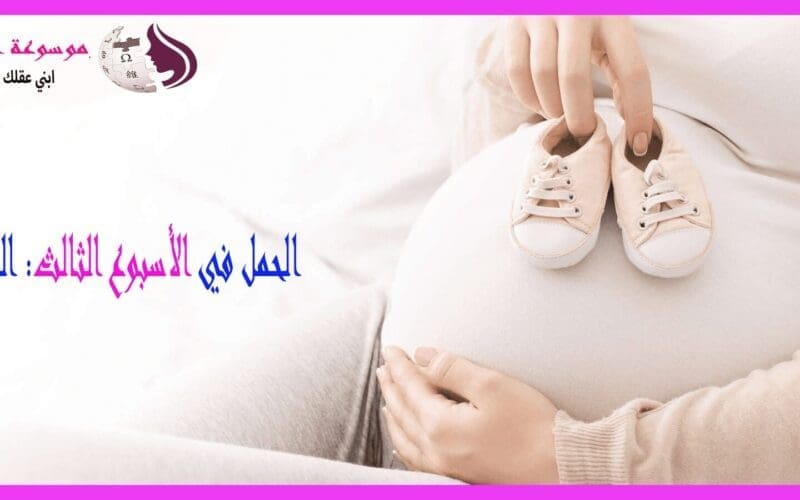 الأسبوع الثالث من الحمل بداية الحمل الفعلية ومراحل التكوين الأولى