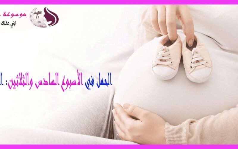 الأسبوع السادس والثلاثين من الحمل الاستعداد الحقيقي للولادة واقتراب اللقاء المنتظر
